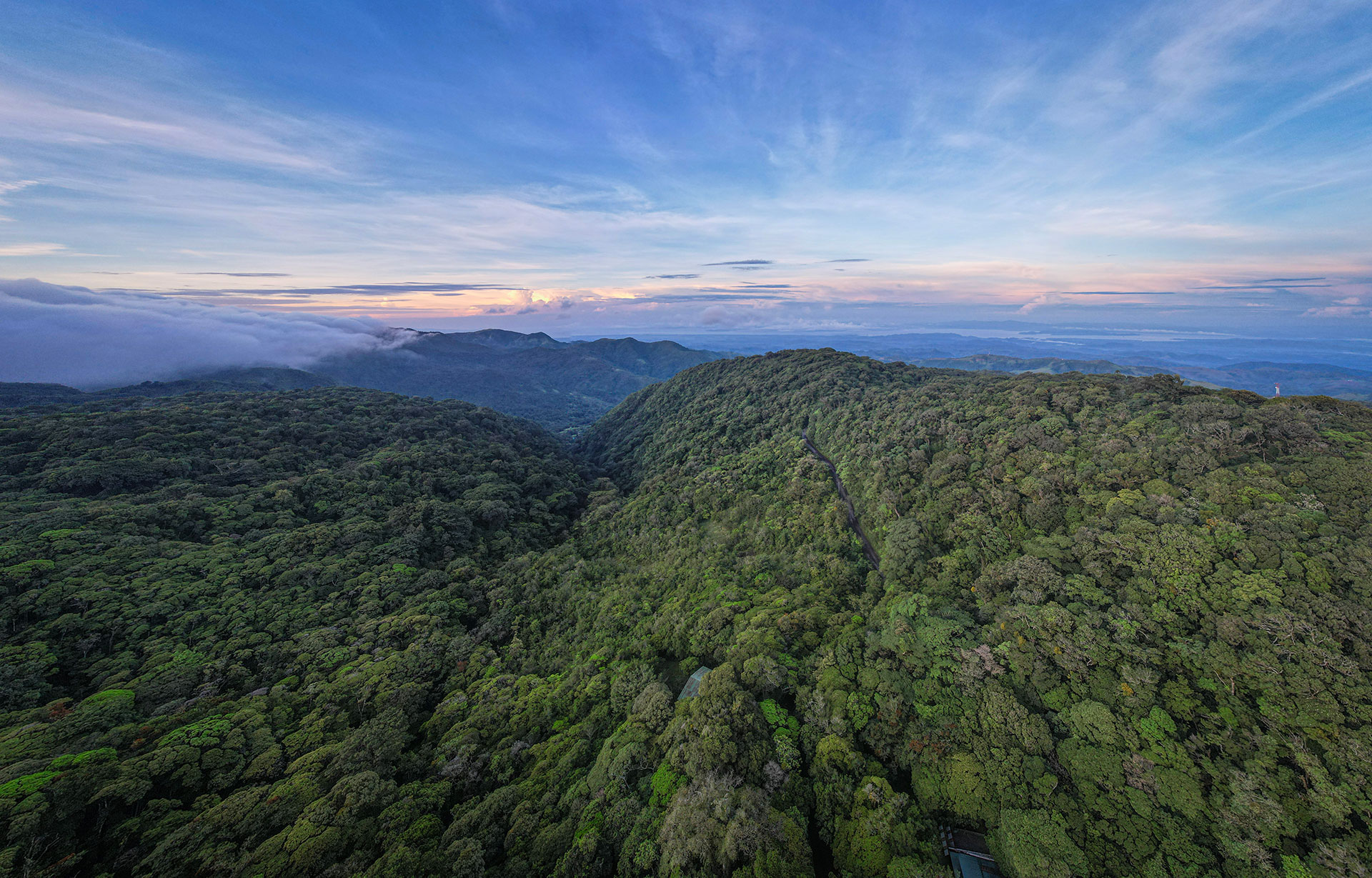 Foto de los senderos neblinosos del Bosque Nuboso de Monteverde
