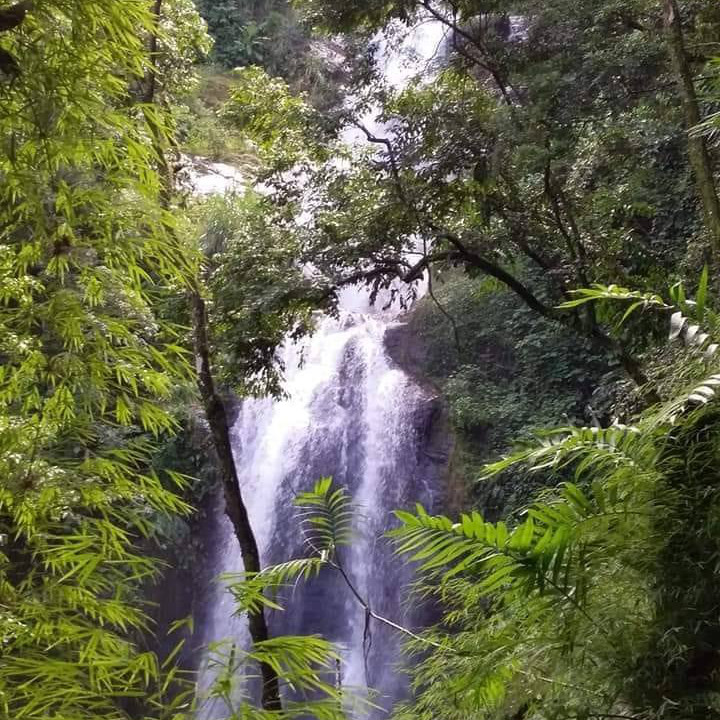 Foto de Waterfall La Piedra Del Indio 